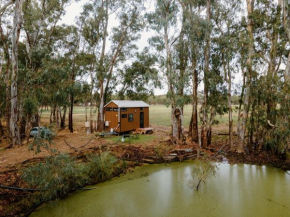 River Red Gum